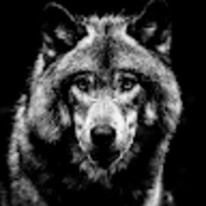 Meet your Posher, Eli